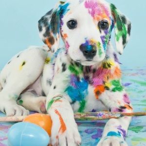 Meet your Posher, Cory